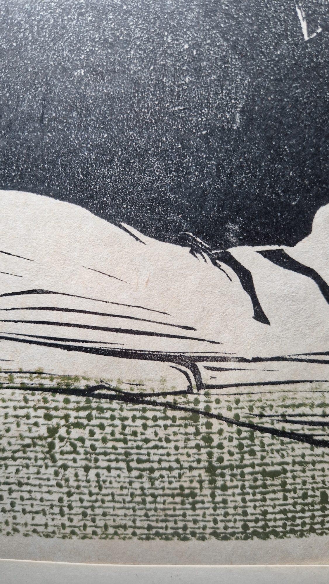 20th century school Etching on paper "Bison", artist's proof, titled, indistinctly signed P. - Image 8 of 17