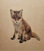 Kurt Meyer-Eberhardt (German, 1895-1977) Coloured etching Three animal studies to include a fox cub,
