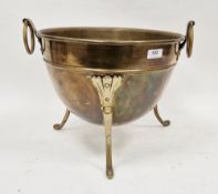 Victorian brass coal bucket and a pair of modern bois simule ribbon-tied fruit festoon wall