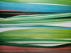 After Fleur Olby (contemporary) Colour print 