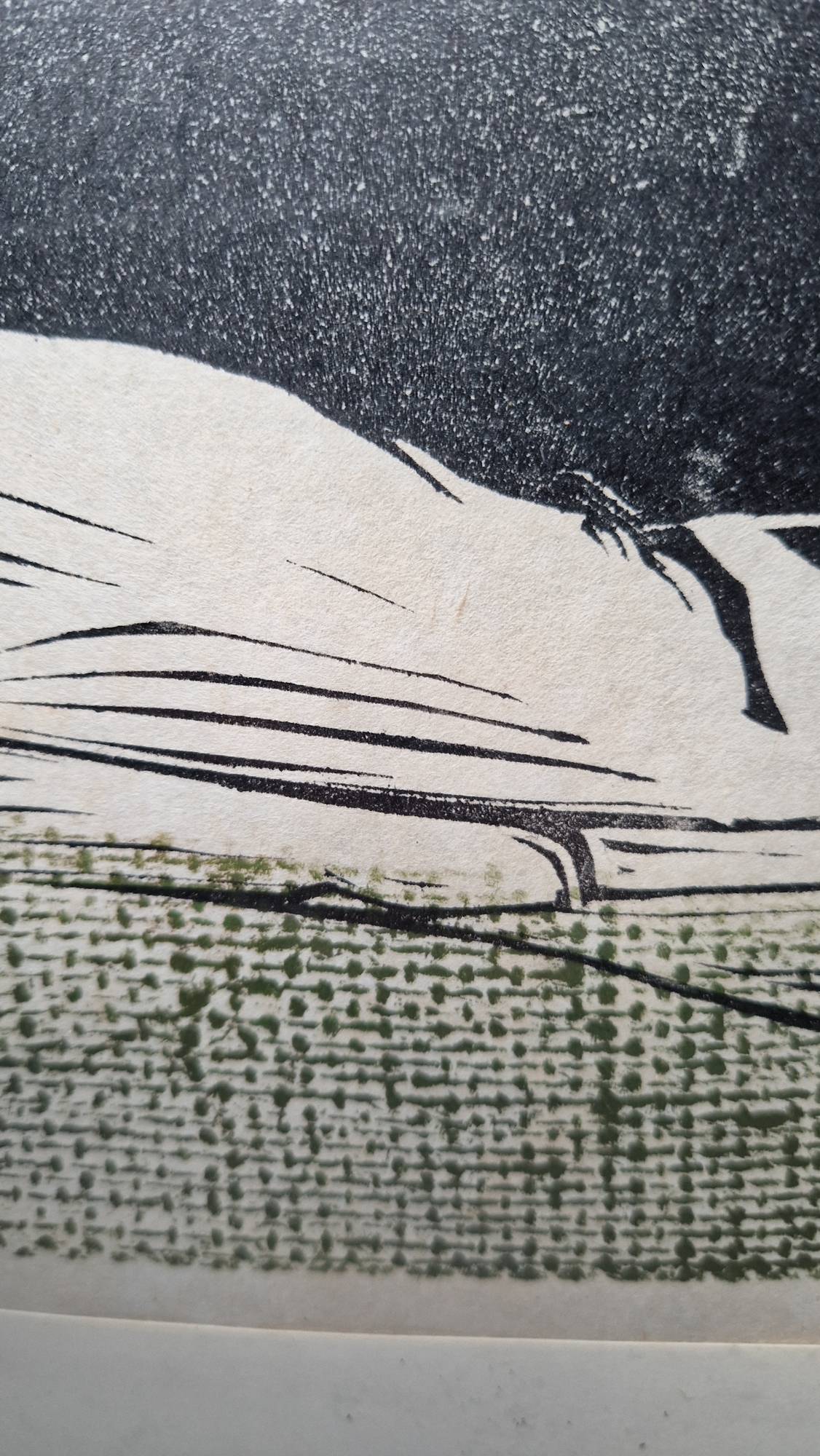 20th century school Etching on paper "Bison", artist's proof, titled, indistinctly signed P. - Image 11 of 17