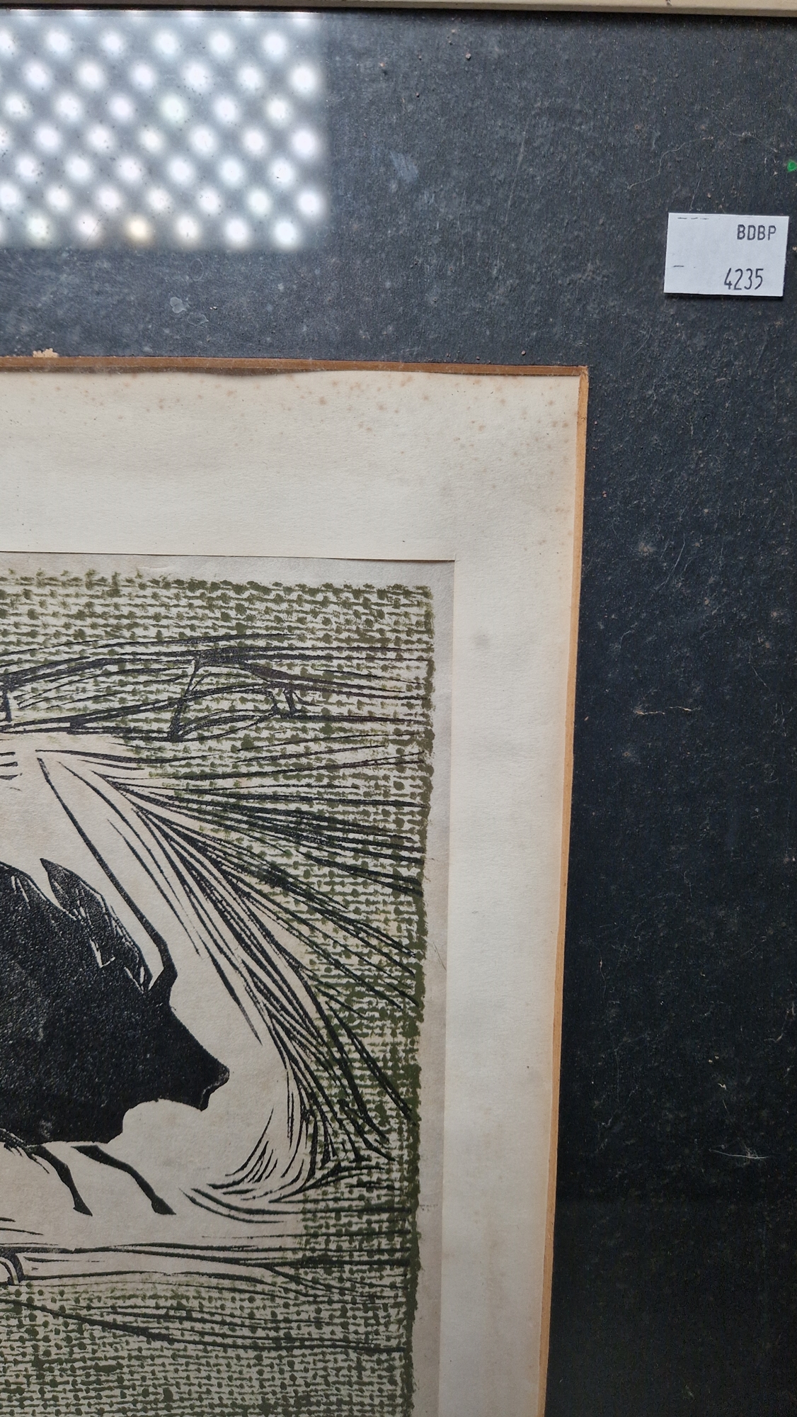 20th century school Etching on paper "Bison", artist's proof, titled, indistinctly signed P. - Image 12 of 17