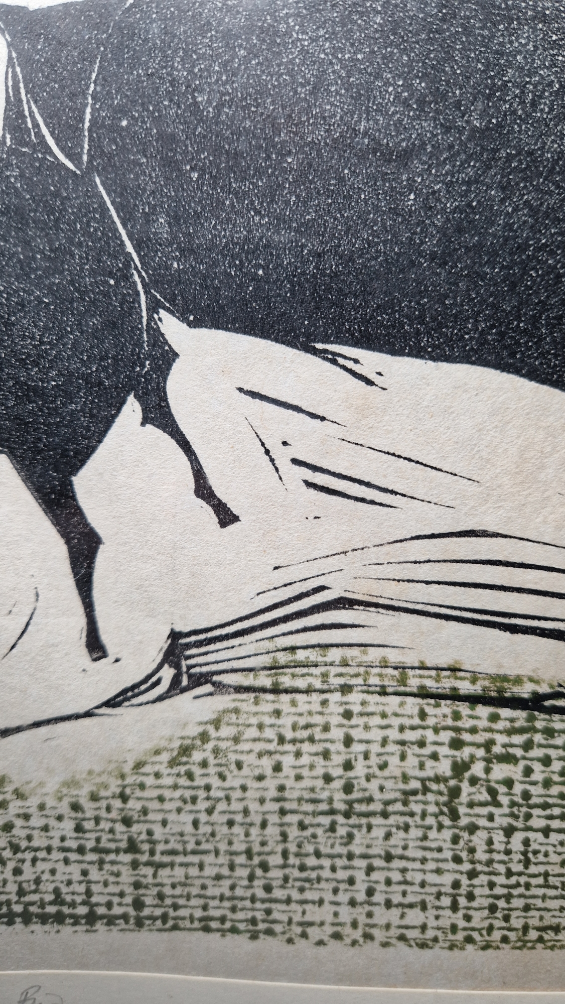 20th century school Etching on paper "Bison", artist's proof, titled, indistinctly signed P. - Image 7 of 17