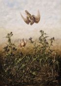 Andrew Haslen (1953) Oil on canvas Merlin and Skylark, signed and dated 1981 lower right, 126cm x