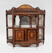 19th century rosewood and satinwood inlaid hanging wall cabinet,  with mirrored back, pierced