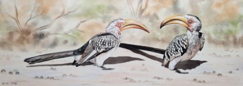 George Mgona (21st Century) Watercolour on paper Pair of Hornbills, signed and dated 1997 lower