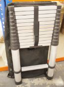 Nordstrand telescopic aluminium ladder in bag.