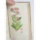 Sowerby, James "English Botany", published by James Sowerby 1814, colour plates, rebound brown - Image 3 of 12