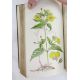Sowerby, James "English Botany", published by James Sowerby 1814, colour plates, rebound brown - Image 12 of 12