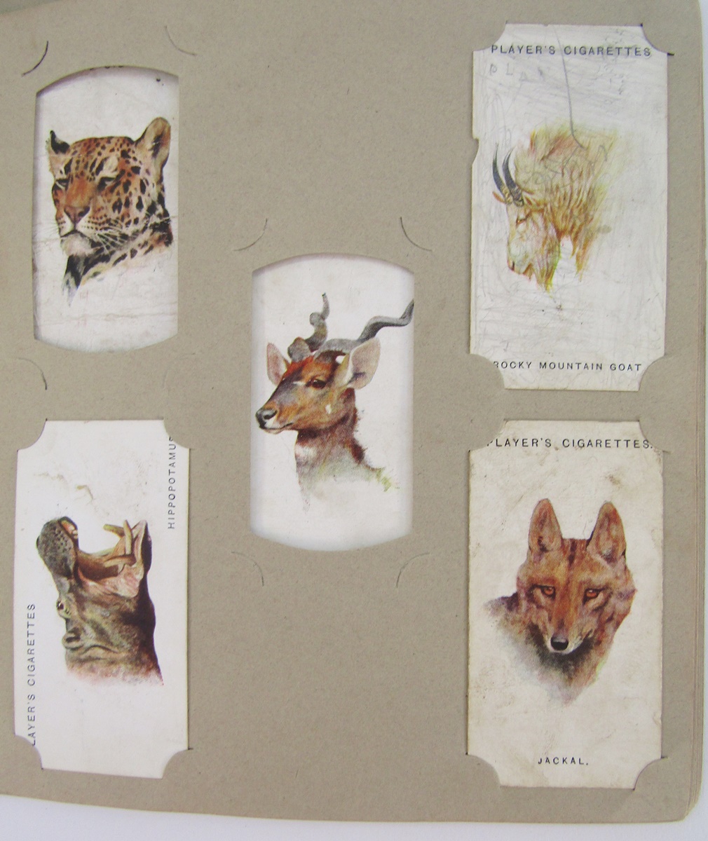 Collection of assorted cigarette and tea cards to include examples by Players, Wills and others, - Image 3 of 7