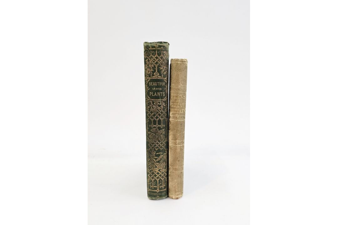 Lowe, E J "Beautiful Leaved Plants ...", Groombridge & Sons 1868, colour plates with tissue - Image 2 of 7