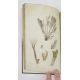 Sowerby, James "English Botany", published by James Sowerby 1814, colour plates, rebound brown - Image 11 of 12