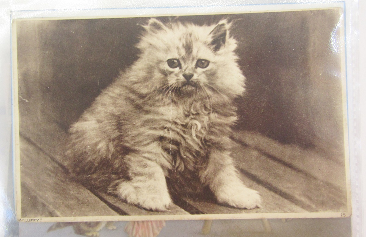 Quantity of postcards in various albums to include early 20th century comedic cards, a War Office - Image 10 of 16