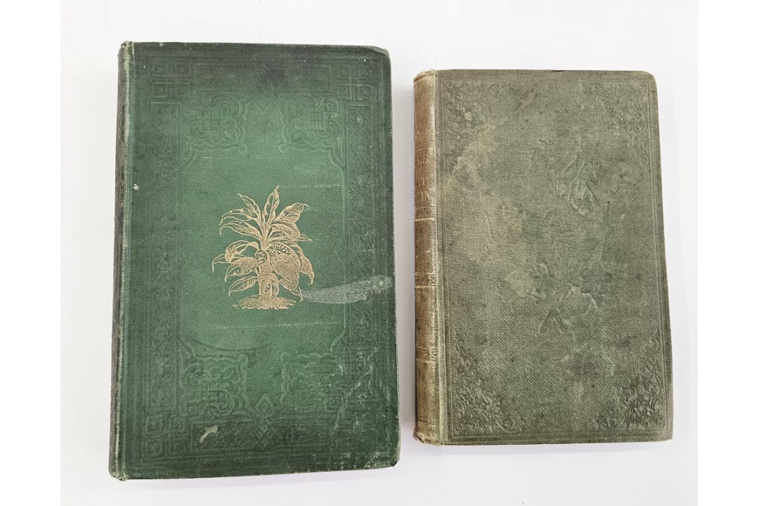 Lowe, E J "Beautiful Leaved Plants ...", Groombridge & Sons 1868, colour plates with tissue - Image 1 of 7
