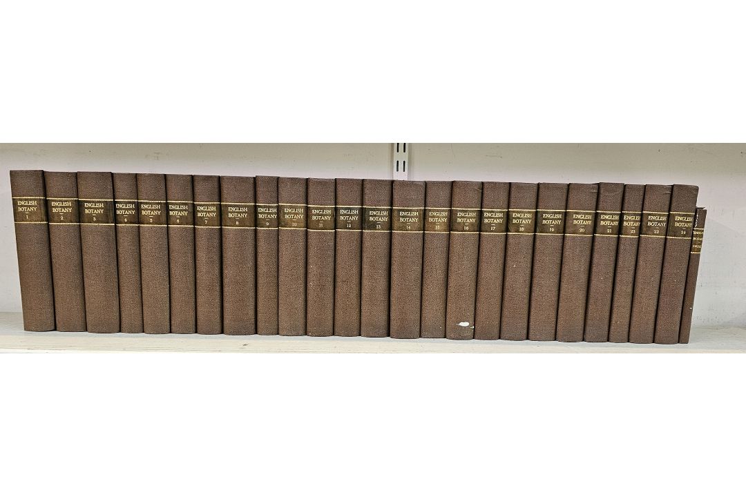 Sowerby, James "English Botany", published by James Sowerby 1814, colour plates, rebound brown - Image 1 of 12