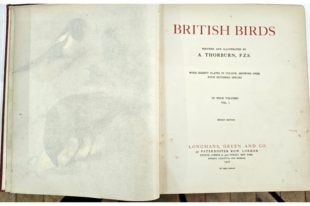 Thorburn, A , F.Z.S. "British Birds ...", in four vols, 2nd edition Longmans Green & Co 1916, colour - Image 9 of 10