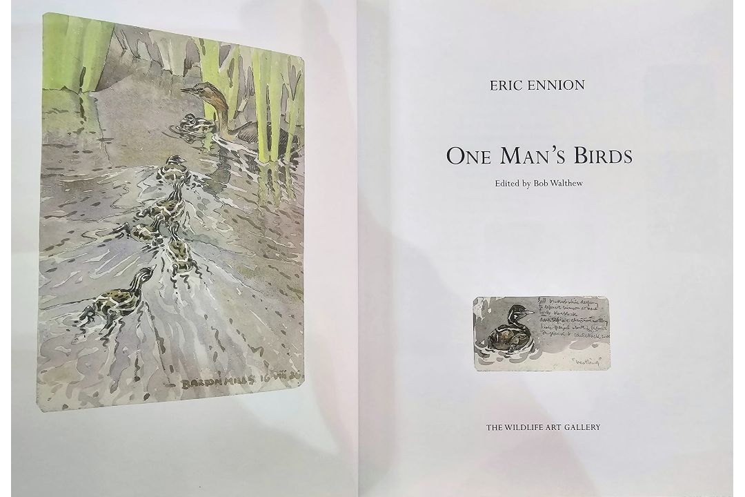 Thorburn, A , F.Z.S. "British Birds ...", in four vols, 2nd edition Longmans Green & Co 1916, colour - Image 4 of 10