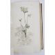 Sowerby, James "English Botany", published by James Sowerby 1814, colour plates, rebound brown - Image 2 of 12