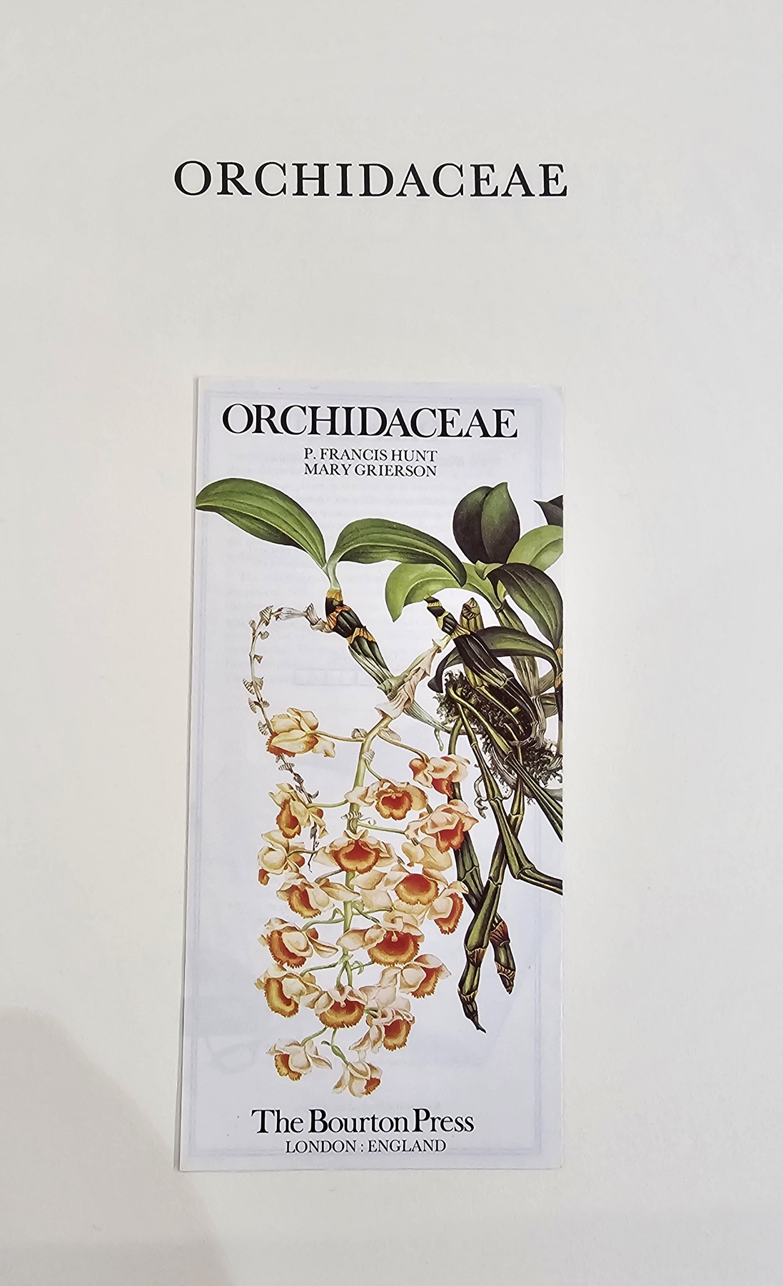 Hunt, P Francis "Orchidaceae", plates drawn by Mary A Grierson, the Bawton Press 1973, no.180/1260