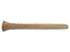 Smalltooth sawfish rostrum (Pristis pectinata), 60 teeth, 30 per side, tooth missing at the front