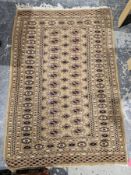 Eastern green ground rug with two rows of 12 elephant foot guls and one row of 11 hooked lozenges,