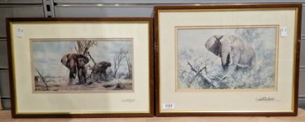 Five framed late 19th/early 20th century prints of elephants after David Shepherd, each signed in
