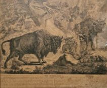 Johann Elias Ridinger (1698-1767) Two copper plate engravings on paper 
