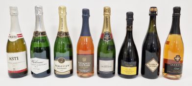 13 bottles of assorted sparkling wines to include M&S Premier Cru Champagne, First Cape South