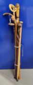 Collection of late 19th/early 20th century walking sticks and canes, including a wooden golf club
