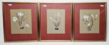 Three early 20th century botanical watercolour studies of crocus and iris on brown paper, each