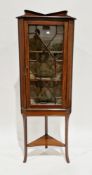 Edwardian mahogany and satinwood inlaid corner display cabinet, the single astragal glazed door