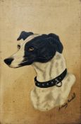 H. Stanley Burchell (mid-20th century) Oil on board Portrait of a hound, wearing a black collar,