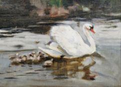 20th century school  Oil on board A swan with signets, unisigned, the reverse inscribed Frank