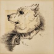 In the manner of Edwin Henry Landseer (1802-1873) Charcoal/pencil on paper Portrait of a hound, with