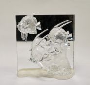 Swarovski crystal glass Wonders of the Sea clear glass community plaque 854651 (2007 annual edition)