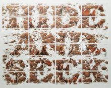 Bev Doolittle  Composite limited edition print  Hide and Seek Suite, no. 22,120 of 25,000, signed