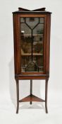 Edwardian mahogany and satinwood inlaid corner display cabinet, the single astragal glazed door