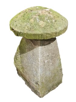 Treasures in Boxes, Books & Household Items (Cirencester)