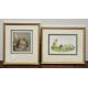 Collection of pictures including landscape scene with man fishing, signed, watercolour of trees by B - Image 2 of 15
