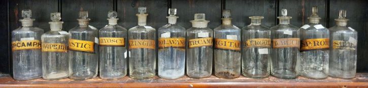 Twelve late 19th/early 20th century labelled glass apothecary bottles and stoppers, each of