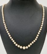 String of graduated cultivated pearls, largest approximately 7.5mm, with a 9ct white gold clasp