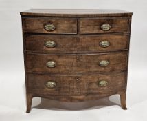 Early 19th century mahogany bowfronted chest comprising two short and three long cockbeaded