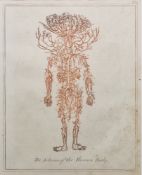 After Ebenezer Sibly Print of an 18th century engraving  