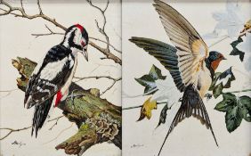 Marilyne Simmons  Pair oils on board Great Spotted Woodpecker and Swallow, each signed Marilyne