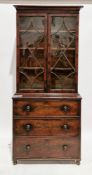19th century mahogany library bookcase, the moulded cornice over two astragal glazed doors,