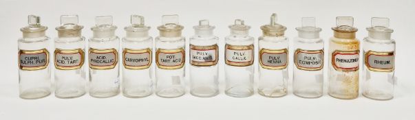 Eleven early 20th century 'label under glass' apothecary bottles and stoppers, each of cylindrical