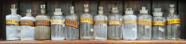 Twelve late 19th/early 20th century labelled glass apothecary bottles and stoppers, each of