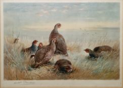Archibald Thorburn  Colour lithograph Wintry scene with partridges, signed in pencil lower left,
