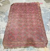 Eastern purple ground wool rug, decorated with five rows of geometric guls within a border, 198cm