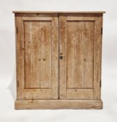 Late 19th/early 20th century pine cupboard, the two panel doors opening to an adjustable shelf, on a
